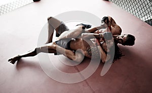 Mma, men and gloves in ring with grappling for fitness for competition, exercise and practice for match. Boxing, gym and