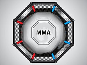 MMA octagon cage