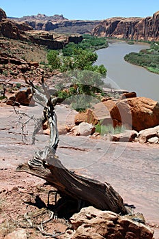 Moab, Utah and the Colorado River