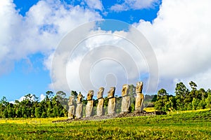 Moai at Ahu Akivi photo