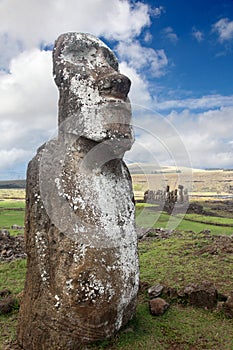Moai at Ahu Tongariki by the Rapa nui people, Easter Island, Eastern Polynesia, Chile photo