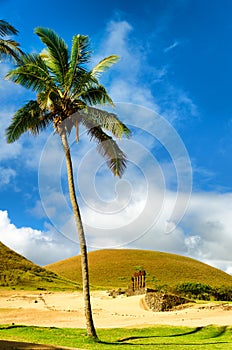 Moai at Anakena Beach