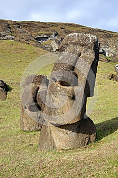 Moai at the Easter Island