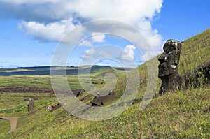 Moai in Easter Island, Chile