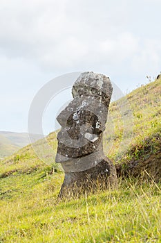 A moai on the outer slopes of Rano Raraku volcano. Rano Raraku is the quarry site where the moais were carved. Easter Island,
