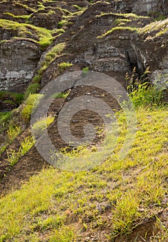 A moai on the outer slopes of Rano Raraku volcano. Rano Raraku is the quarry site where the moais were carved. Easter Island,