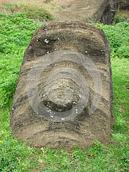 Moai at Rano Raraku