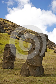 Moai on Rano Raraku, Easter Island photo