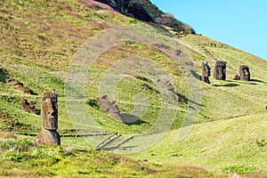 Moai at Rano Raraku photo