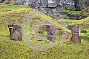 Moai on the slopes of the Rano Raraku Volcano, on Easer Island, surrounded by green vegetation.
