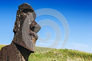 Moai statue in the Rano Raraku Volcano in Easter Island, Chile