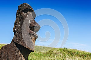 Moai statue in the Rano Raraku Volcano in Easter Island, Chile photo