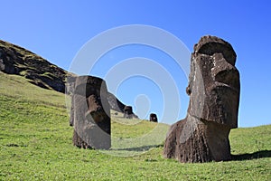 Moai statues at Rano Raraku, Easter Island, Chile photo