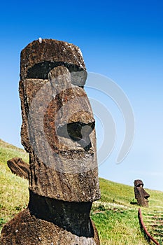 Moai statues in the Rano Raraku Volcano in Easter Island, Chile