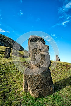 Moai statues in the Rano Raraku Volcano in Easter Island, Chile