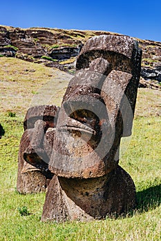 Moai statues in the Rano Raraku Volcano in Easter Island, Chile photo
