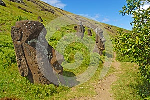 Moai Stone Statues at Rapa Nui - Easter Island