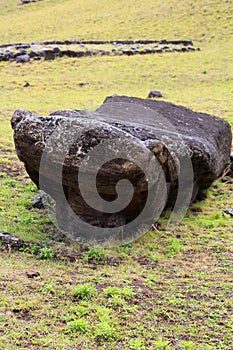 Moai that were never completed in the quarry of at Rano Raraku, Easter Island, Chile, South America