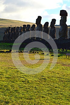 Moais in the ceremonial platform Ahu at Tongariki beach, Rapa Nui Easter island