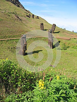Moais of the Easter island