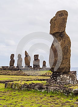 Moais on Easter Island, Chile