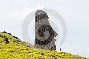 Moais on the outer slopes of Rano Raraku volcano. Rano Raraku is the quarry site where the moais were carved. Easter Island, Chile