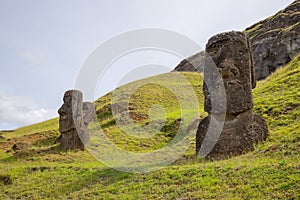 Moais on the outer slopes of Rano Raraku volcano. Rano Raraku is the quarry site where the moais were carved. Easter Island, Chile