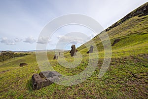 Moais on the outer slopes of Rano Raraku volcano. Rano Raraku is the quarry site where the moais were carved. Easter Island, Chile