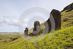 Moais on the outer slopes of Rano Raraku volcano. Rano Raraku is the quarry site where the moais were carved. Easter Island, Chile