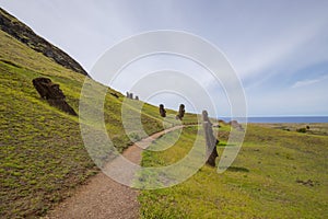 Moais on the outer slopes of Rano Raraku volcano. Rano Raraku is the quarry site where the moais were carved. Easter Island, Chile