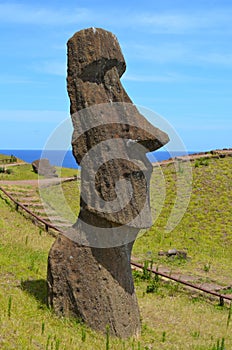 Moais in Rano Raraku volcano, Rapa Nui Easter Island