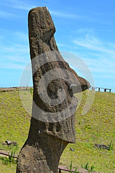 Moais in Rano Raraku volcano, Rapa Nui Easter Island