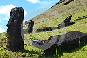 Moais in Rano Raraku volcano, Rapa Nui Easter Island