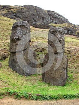 Moais from Rapa Nui, Rano Raraku quarry.