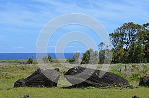 Moais in the slope of Rano Raraku volcano, Rapa Nui Easter Island