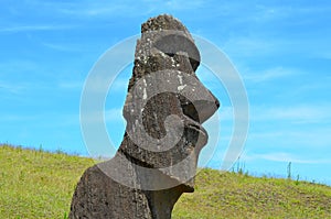 Moais in the slope of Rano Raraku volcano, Rapa Nui Easter Island
