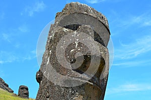 Moais in the slope of Rano Raraku volcano, Rapa Nui Easter Island