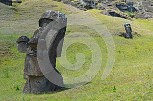 Moais in the slope of Rano Raraku volcano, Rapa Nui Easter Island