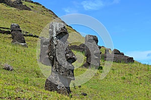 Moais in the slope of Rano Raraku volcano, Rapa Nui Easter Island