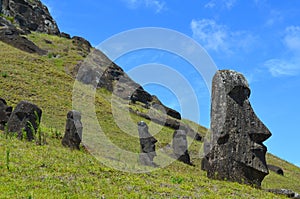 Moais in the slope of Rano Raraku volcano, Rapa Nui Easter Island