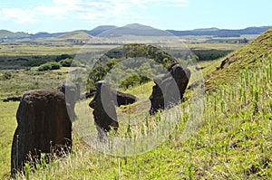 Moais in the slopes of Rano Raraku volcano, Rapa Nui Easter Island