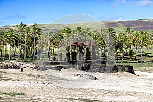 Moais standing on the Anakena Beach