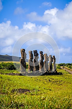 Moais statues, ahu Akivi, easter island