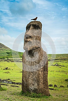 moais in Tongariki, Rapa Nui, Easter Island