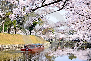 Moat of Hikone Castle