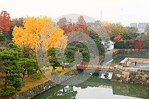 Moat at Nijo Castle