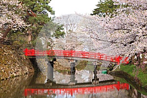 Moat and red bridge