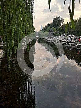 The moat,spring,Weeping willows,