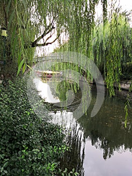 The moat,spring,Weeping willows, arch Bridge