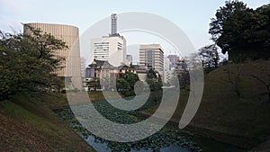 Moat with water lilies around Tokyo Imperial Park